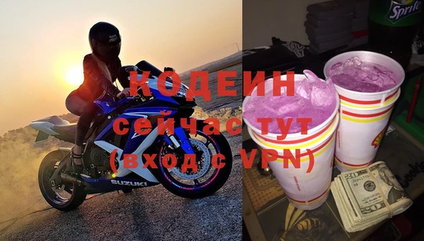 шишки Бородино